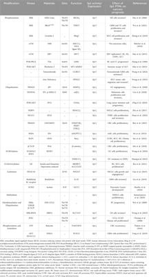 Role of post-translational modifications of Sp1 in cancer: state of the art